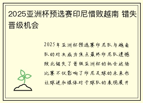 2025亚洲杯预选赛印尼惜败越南 错失晋级机会